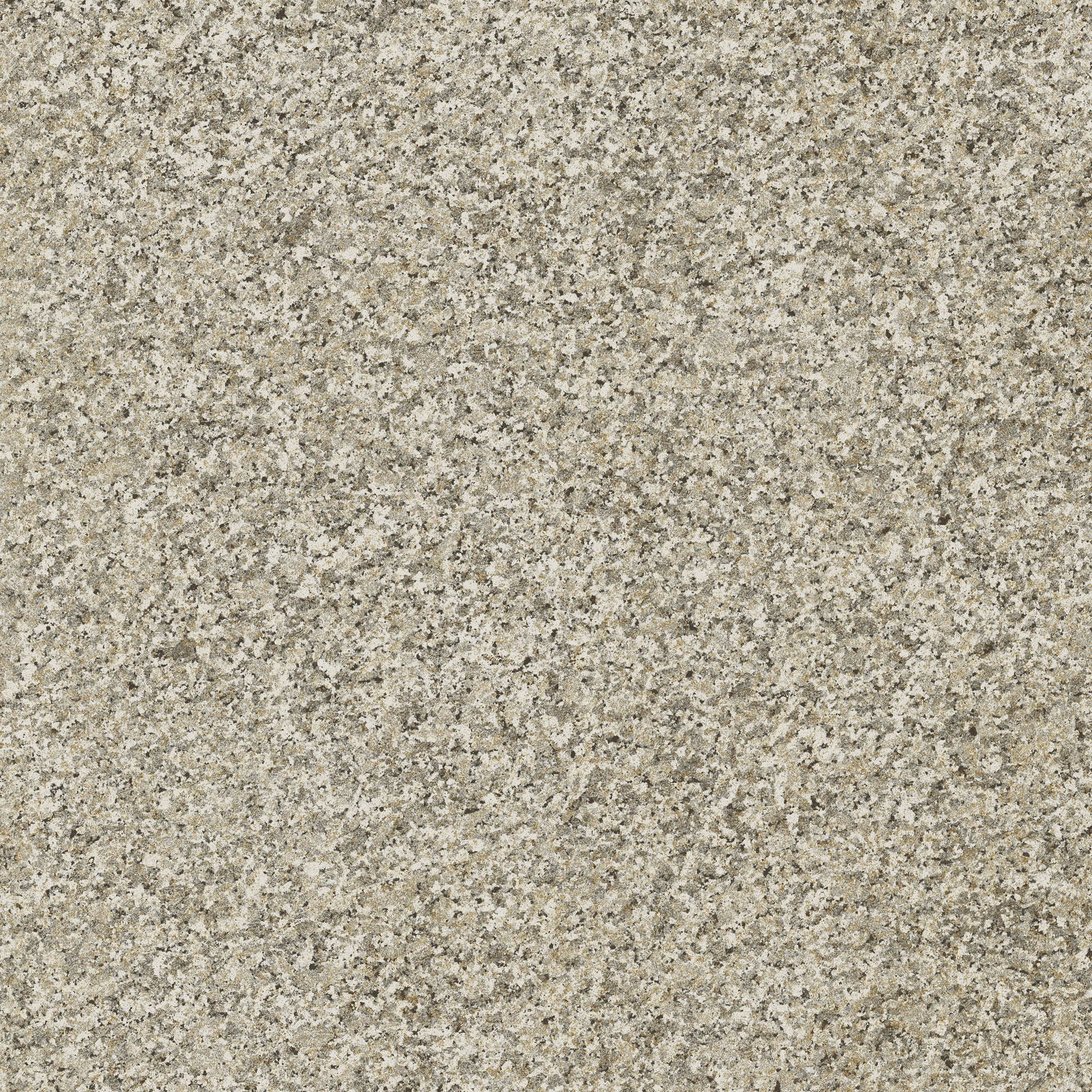 C458 Granit Beige C458 Granit Beige