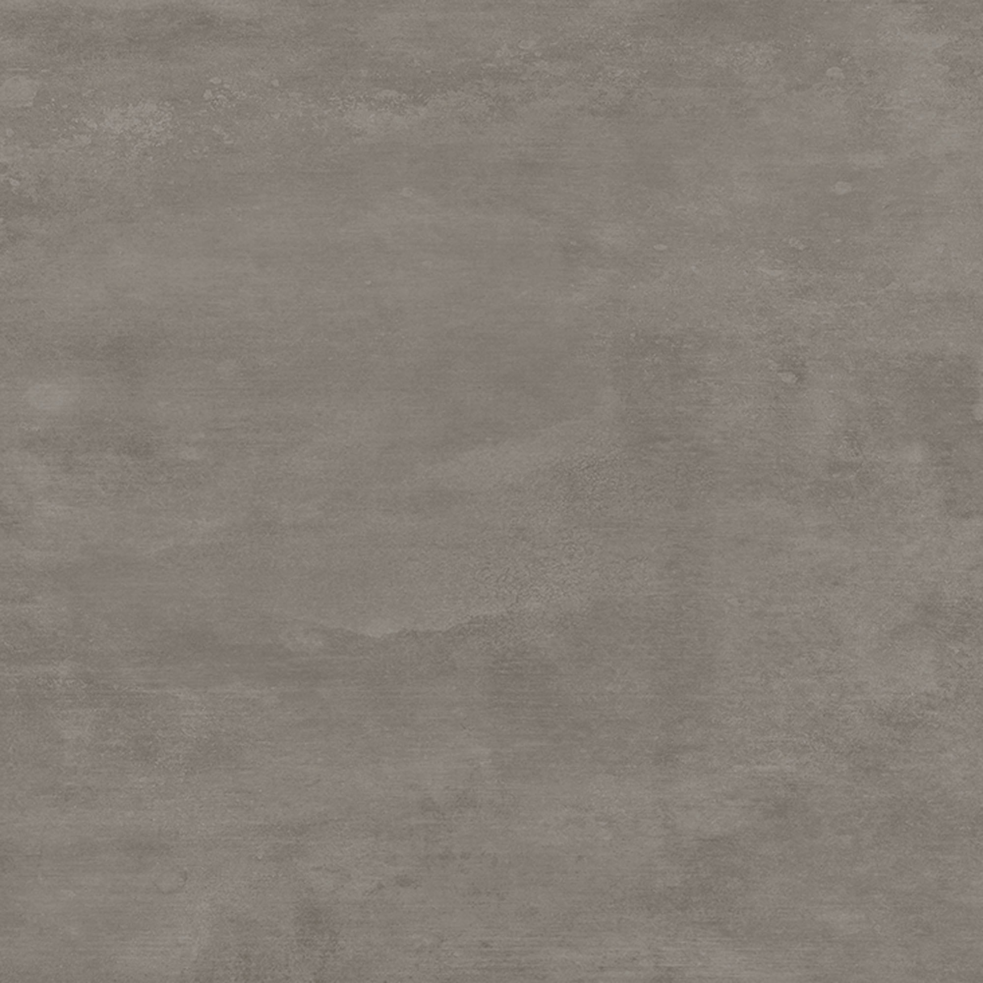 C403 Focus Anthracite